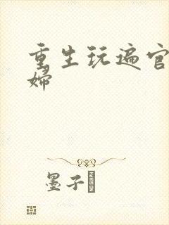 重生玩遍官场贵妇