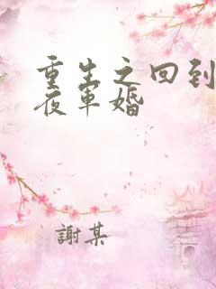 重生之回到新婚夜军婚