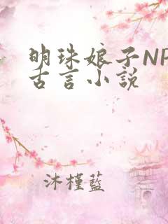 明珠娘子NPC古言小说