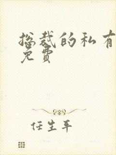 总裁的私有宝贝免费