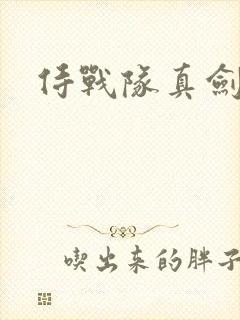 侍战队真剑者2