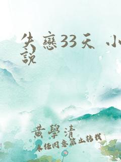 失恋33天 小说