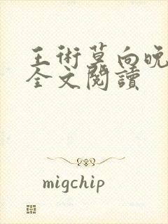 王术莫向晚小说全文阅读