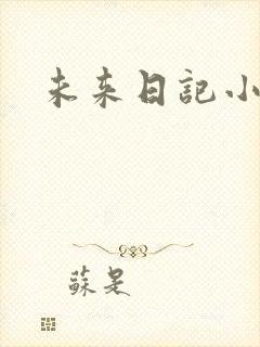 未来日记小说