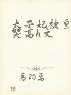 太子妃被皇上c哭高h文