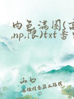 肉色满园(高h,np,限)txt番外篇