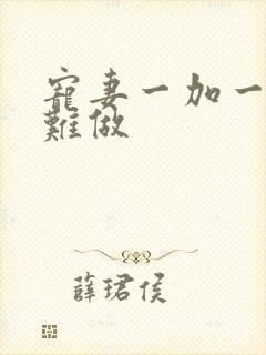 宠妻一加一老婆难做