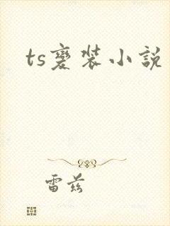 ts变装小说
