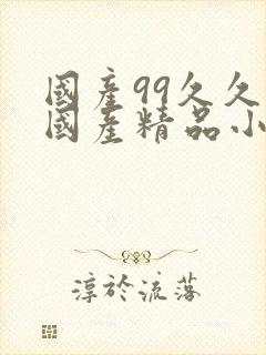 国产99久久久国产精品小说