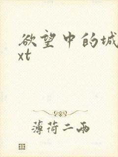 欲望中的城市txt