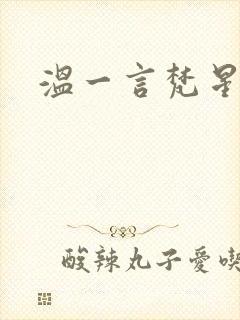 温一言梵星小说