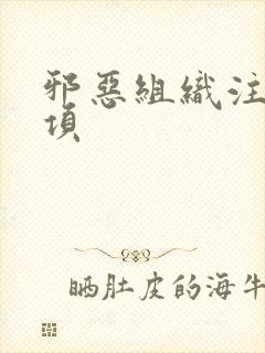 邪恶组织注意事项