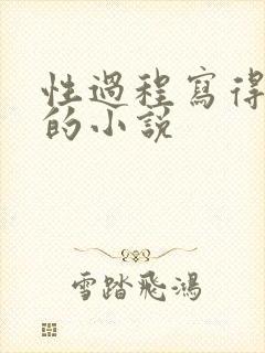 性过程写得详细的小说