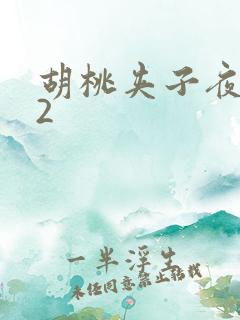 胡桃夹子夜未眠2