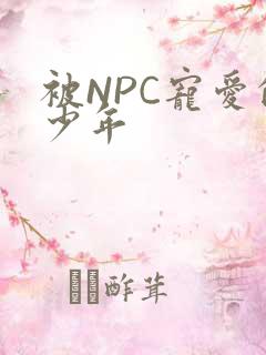 被NPC宠爱的少年