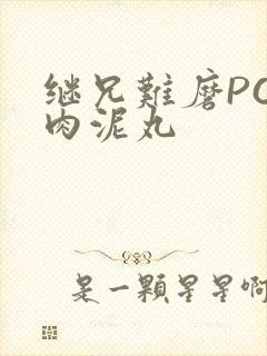 继兄难磨PO猪肉泥丸