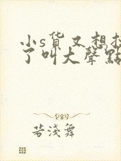 小s货又想挨c了叫大声点