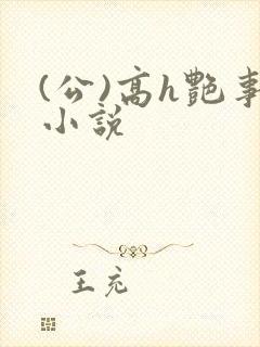 (公)高h艳事小说