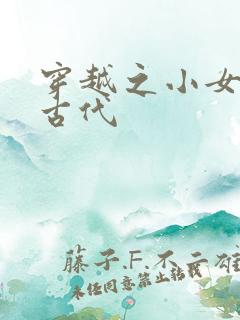 穿越之小女子闹古代