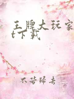 王牌大玩家txt下载