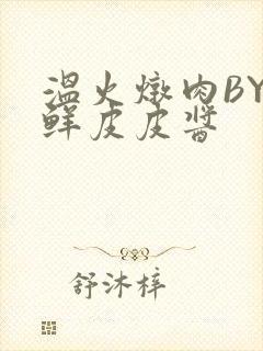 温火炖肉BY海鲜皮皮酱