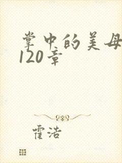 掌中的美母版主120章
