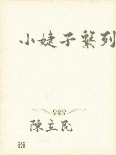 小婕子系列小说
