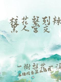 校花系列辣h文黑人宫交