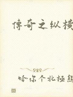 传奇之纵横玛法