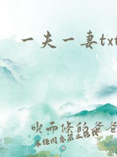 一夫一妻txt