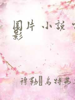 图片 小说 电影