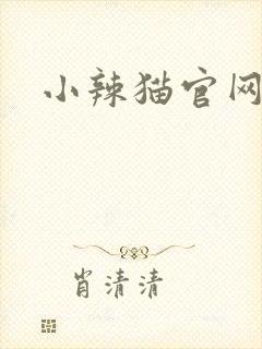 小辣猫官网