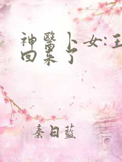 神医卜女:王妃回来了