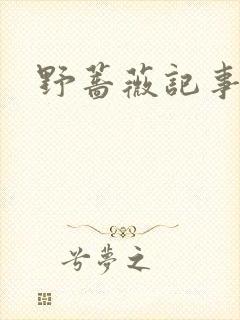 野蔷薇记事薄