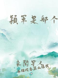 颖军是哪个军阀