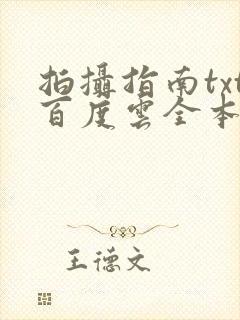 拍摄指南txt百度云全本