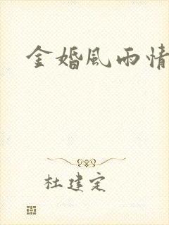 金婚风雨情下载