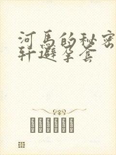 河马的秘密河文轩避孕套