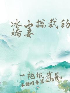 冰山总裁的掠爱娇妻