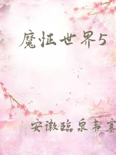 魔怔世界5