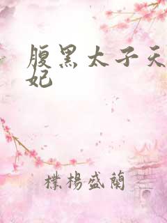 腹黑太子天降萌妃