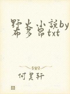 野火小说by夏布多昂txt