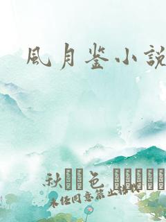 风月鉴小说论坛