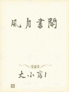 风月书阁