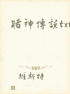 赌神传说txt