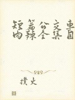 短篇公交车高h肉辣全集目录