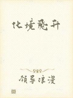 化境飞升