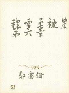 程雪柔被农民工第六章