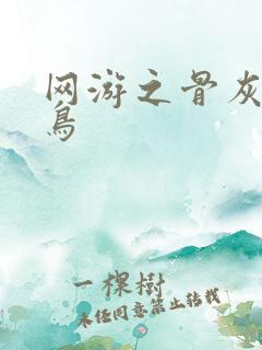 网游之骨灰级菜鸟