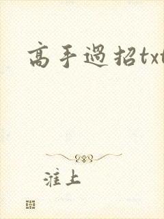高手过招txt